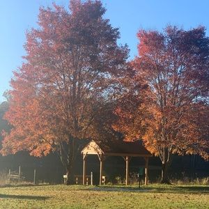 Meet your Posher, Stefanie